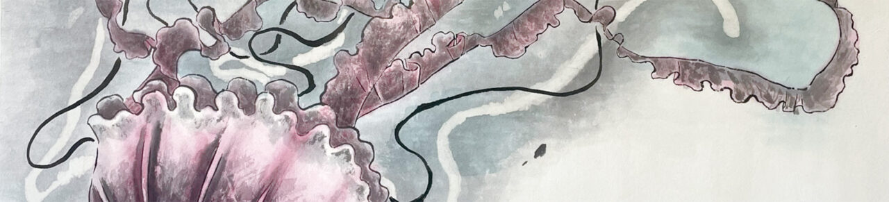 赤いクラゲの墨彩画のアイキャッチ