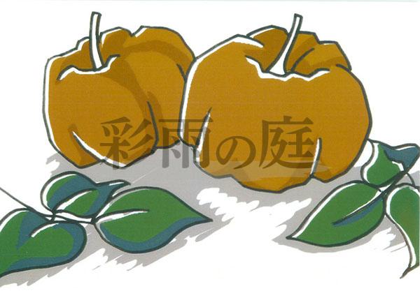 健康食品のシンプルなイラスト